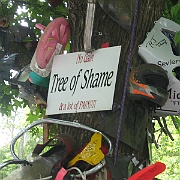Picture 033